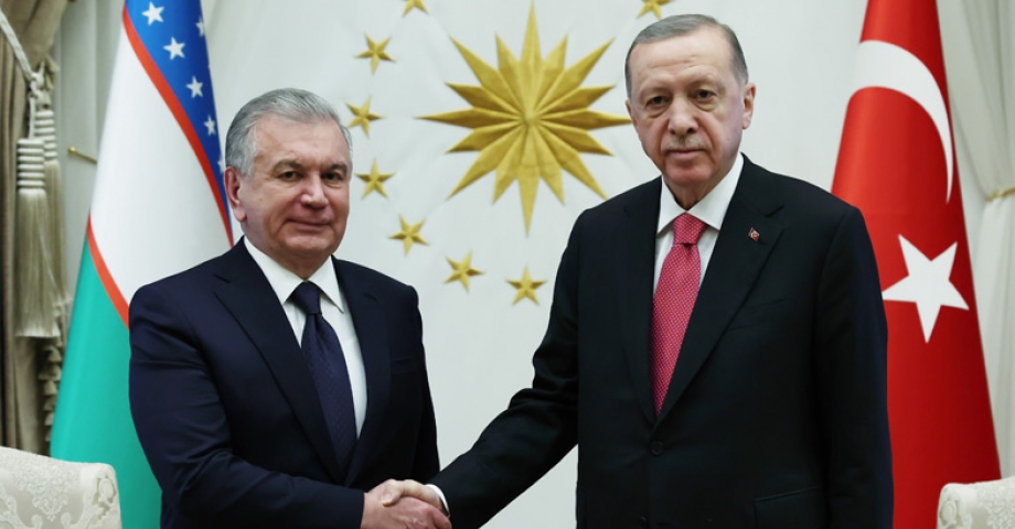 Cumhurbaşkanı Erdoğan, Özbekistan Cumhurbaşkanı Mirziyoyev ile bir araya geldi